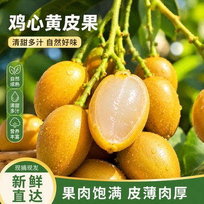 顺丰包邮广西鸡心黄皮果酸甜多汁