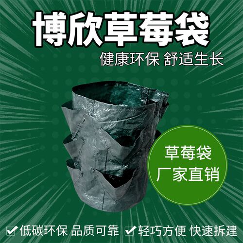 3加仑PE吊挂式草莓袋 悬挂式花卉植物吊篮生长花卉空中园艺种植袋