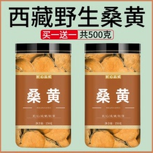 野生桑黄西藏中药材桑树桑黄茶正宗干货煲汤正品粉泡茶泡水的功效