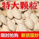 新货生南瓜子原味炒熟美人甲带壳生 南瓜籽新疆特产官方旗舰店