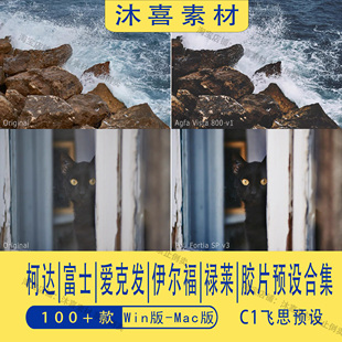 CaptureOne飞思-柯达富士伊尔福爱克发禄莱胶片调色预设合集