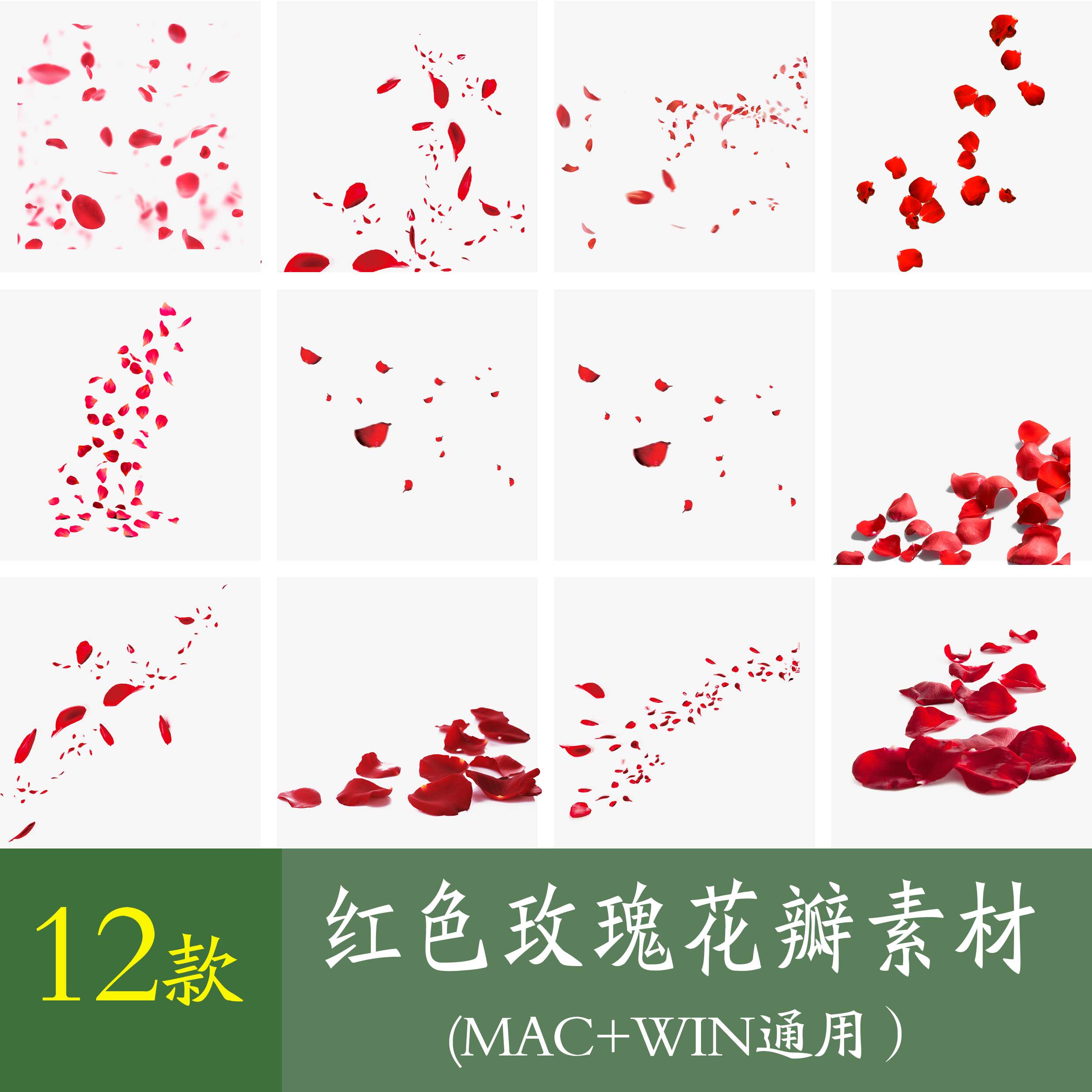 12款红色玫瑰花瓣飘落花朵装饰设计素材/源文件