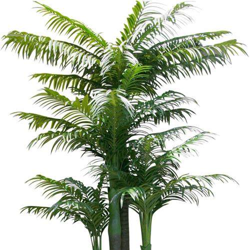 热带槟榔树塑料树大型落地盆栽假树酒店餐厅装饰植物树仿真,鲜花速递/花卉仿真/绿植园艺,仿真绿植,淘宝优惠券,粉丝福利购,淘宝优惠卷