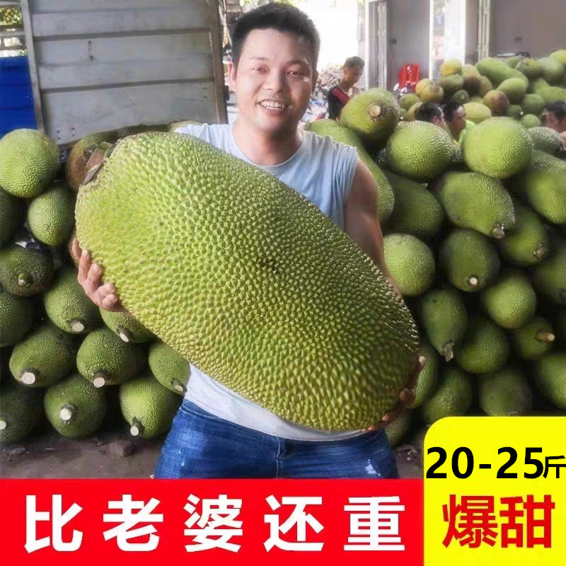 现摘干苞黄肉菠萝蜜新鲜水果包邮20-25斤海南三亚非红心肉波罗蜜