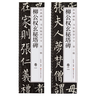 柳公权玄秘塔碑楷书字帖经典碑帖书法近距离临摹字卡原大版唐代柳体古帖成人楷书初学者入门附简体旁注