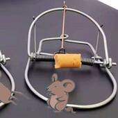 老鼠夹子强力灭鼠家用商用超强室内室外诱捕驱逮扑抓捉补捕鼠神器