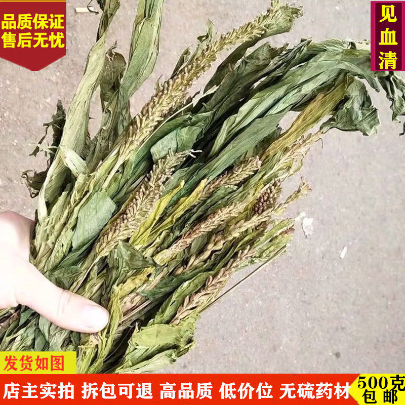 见血清中药材 精选见血清 整颗见血青 立地好 羊耳蒜新货500g包邮
