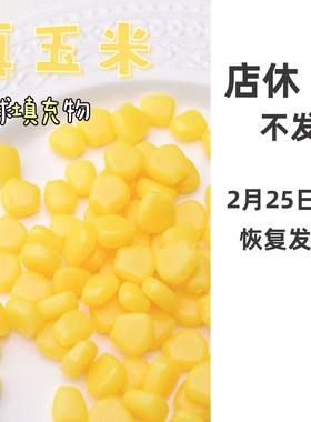仿真玉米粒浓汤手作球填充物手工diy捏捏乐材料包装饰物食玩配饰