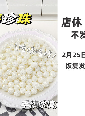 高颜值手作球填充物杨梅珍珠花球仿珍珠材料包配饰物abs响手工diy