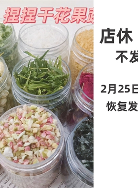 干花装饰果蔬脆冻干捏捏乐桂花茉莉玫瑰手工diy海苔椰丝无花果