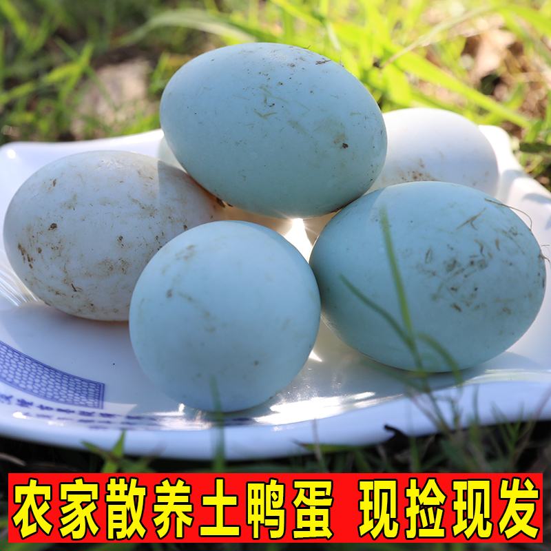 新鲜鸭蛋30枚青壳土鸭蛋农家散养新鲜生鸭蛋青皮白皮绿壳鸭蛋包邮