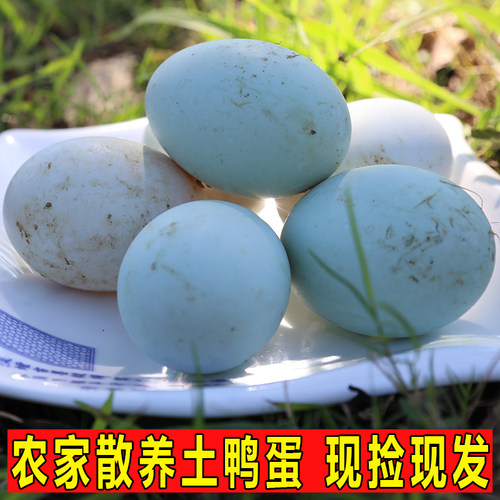 新鲜鸭蛋30枚青壳土鸭蛋农家散养新鲜生鸭蛋青皮白皮绿壳鸭蛋包邮