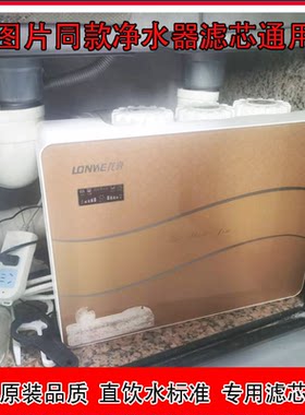 龙巍净水器滤芯NLW-R1-F1过滤器