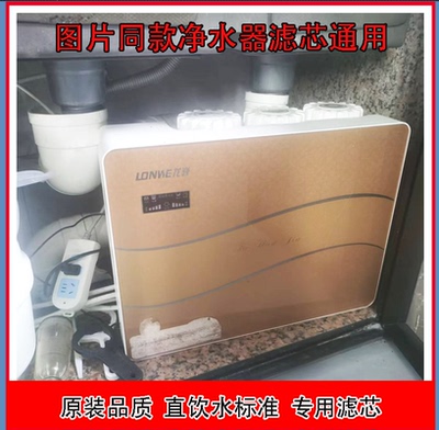 龙巍净水器滤芯NLW-R1-F1过滤器