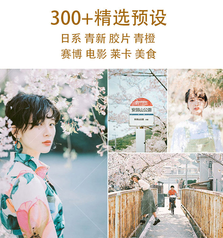 ps滤镜lr预设全店下载手机pr转场视频/lut/达芬奇调色lightroom