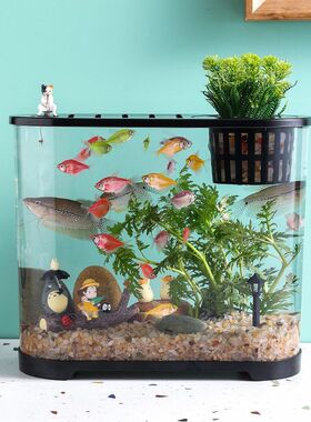 Transparent plastic fish tank living room balcony aquarium