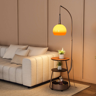 Floor lamp, living room sofa, coffee table, fishing light