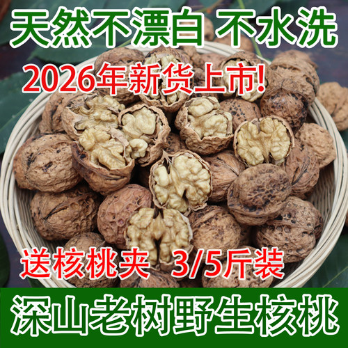 2026年新货野生原味老树生干核桃