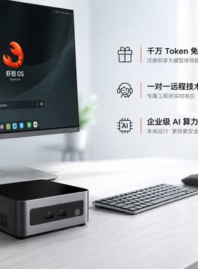 塔西尼TaoClaw迷你龙虾智能体主机AI企业级算力免费远程技术指导