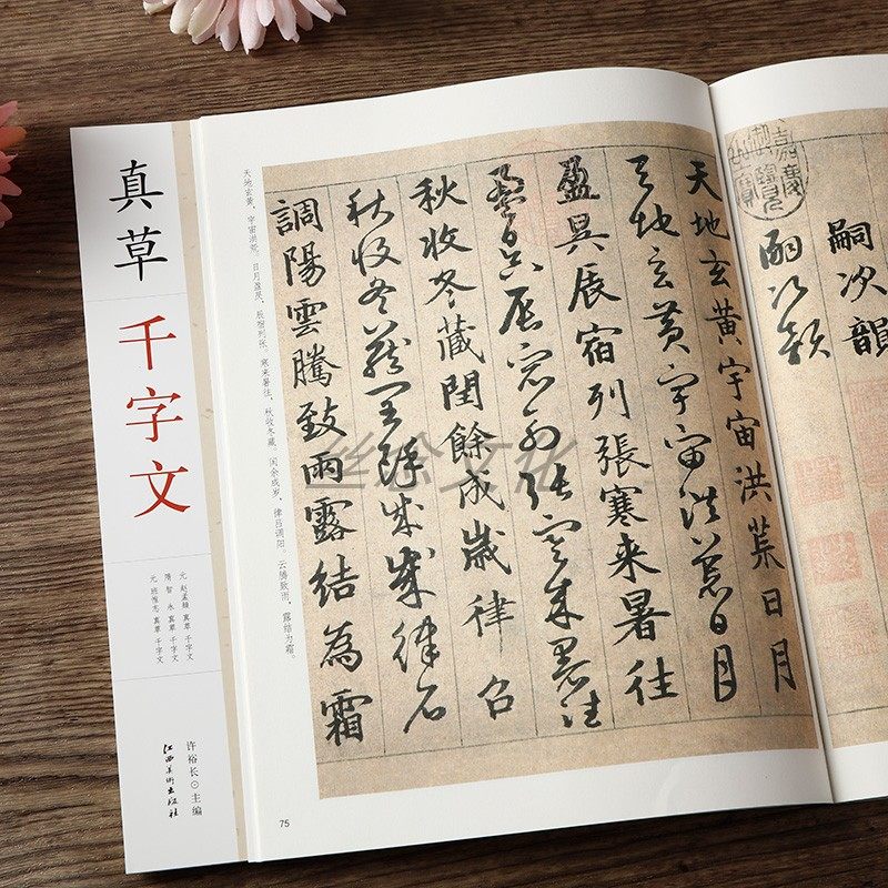 真草千字文 赵孟頫智永班惟志真草千字文 毛笔书法草书字帖附简体旁注