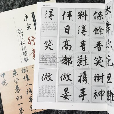 唐寅行书临习技法精解 历代名家碑帖 落花诗册 唐伯虎书法教程 书法爱好者入门教材 毛笔书法临摹字帖 唐寅米字格毛笔书法技法教程