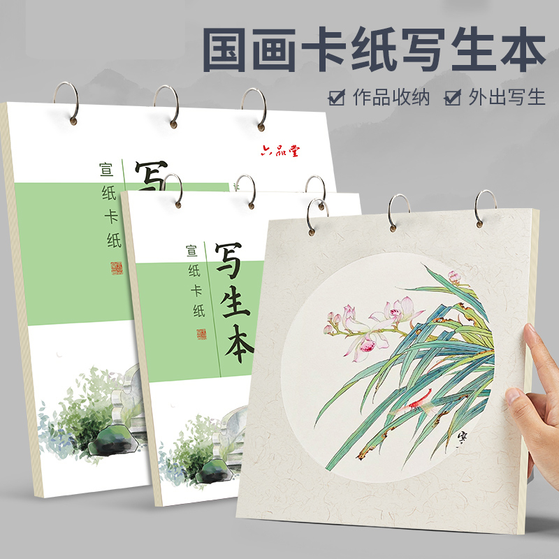 国画卡纸写生本半生熟镜片作品纸外出易收纳工笔画书法绘画 水墨画半熟软卡山水画工笔画本美术画画专用册页