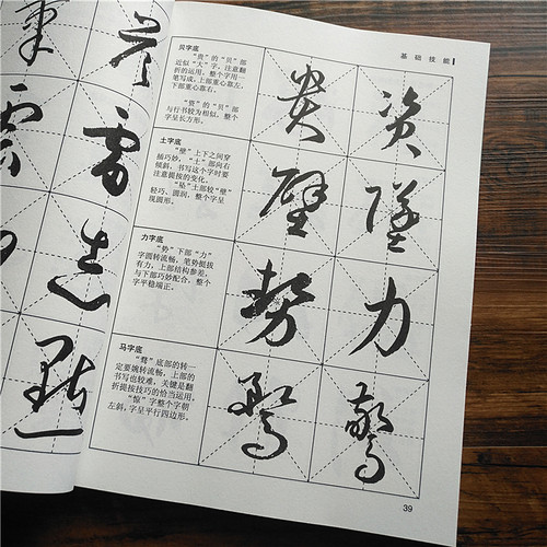 草书一点通 草书技法入门   193页