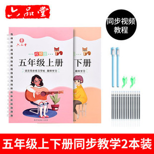 小学生同步神奇凹槽练字板人教版5年级上册下册五年级语文用书正楷凸模字帖钢笔铅笔硬笔书法临摹描