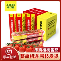 [Зеленый ходок] Вишневые маленькие томатные шампуры прохладные шампуры вишневые западные помидоры едят фрукты без фруктовых помидоров