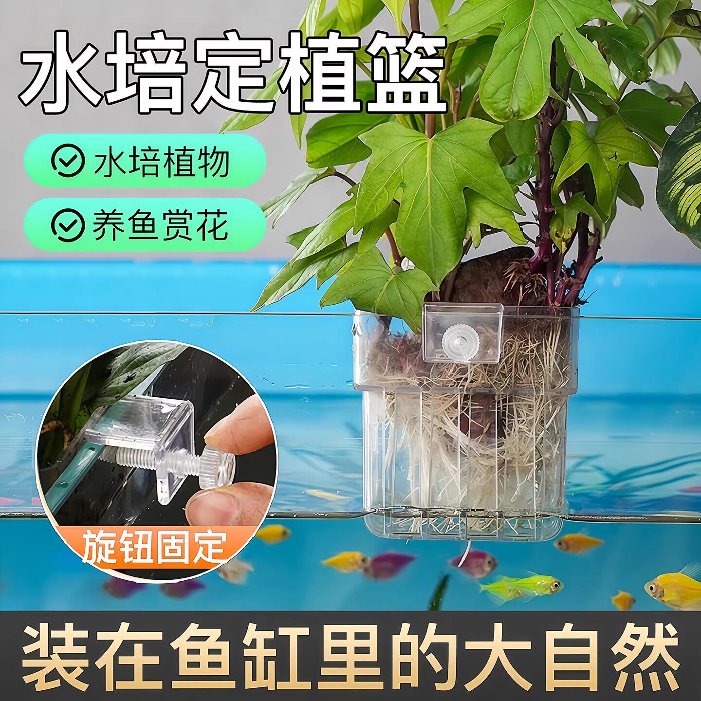 鱼缸壁挂定植篮水草绿萝造景绿萝