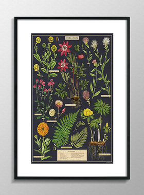 Cavallini植物花卉蝴蝶1000片500片拼图框架裱框70*55*35画框相框