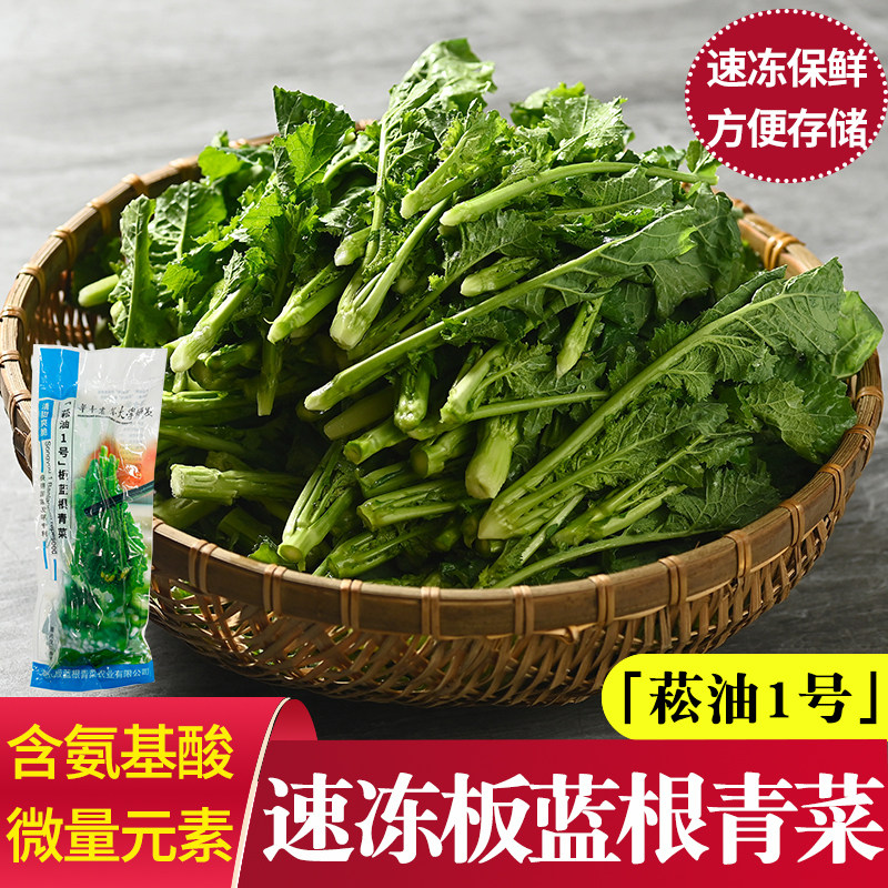 速冻包装板蓝根菜青菜健康蔬菜酒店农庄私厨特色清热休闲鲜脆清甜