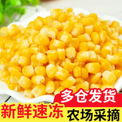 速冻浓香玉米粒4斤小粒即甜东北冷冻水果袋装榨汁新鲜沙拉2斤