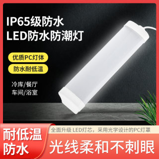 LED冷库灯40w80wLED三防灯一体化长条灯管防水防潮防爆灯冷库专用