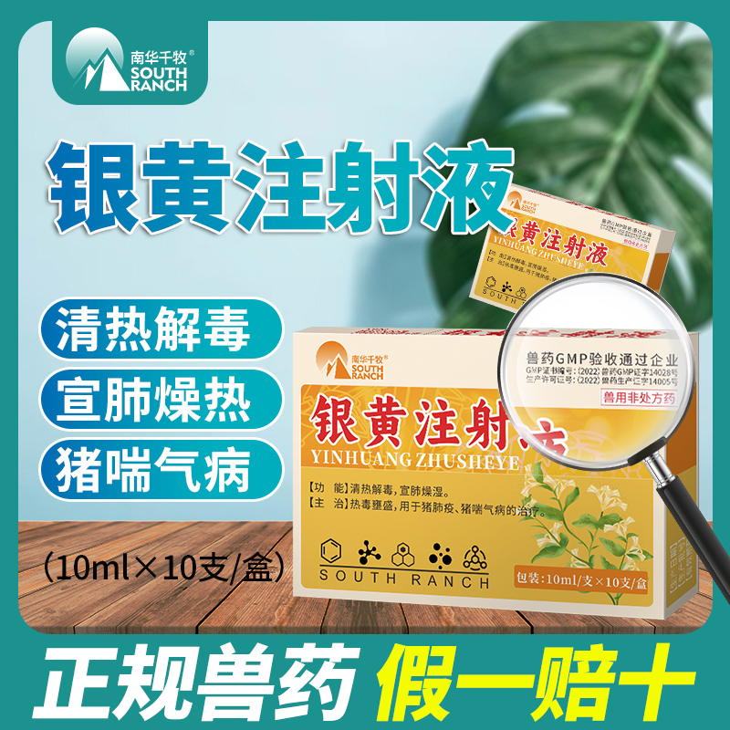 南华千牧兽用银黄提取物注射液猪肺疫清热解毒退热咳嗽喘气粗兽药