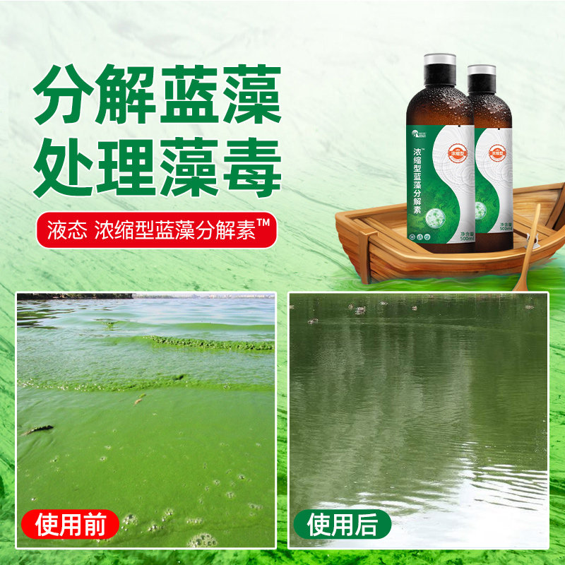 蓝藻分解素鱼池塘除蓝藻克星速灭蓝藻分解精水产解蓝除蓝藻一泼灵