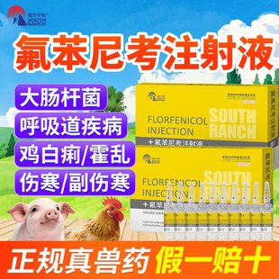 氟苯尼考兽药针剂注射液兽用水产药可溶性粉呼吸道疾病猪鸡药白痢