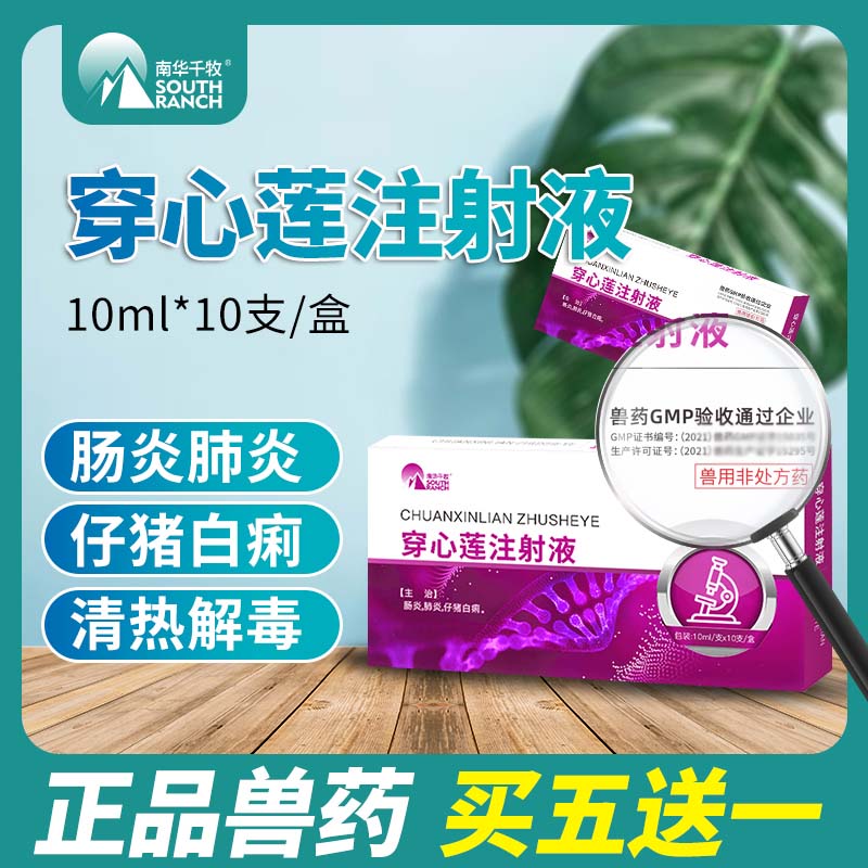 穿心莲注射液牛羊兽用拉稀腹泻