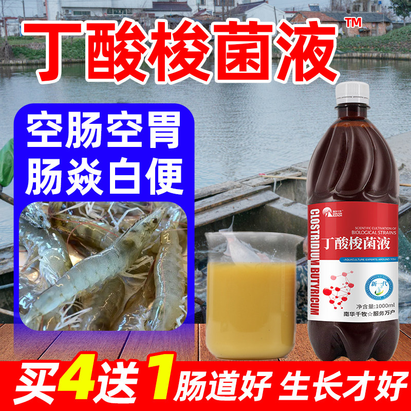 虾塘鸡鸭鹅消化水产养殖丁酸梭菌图片