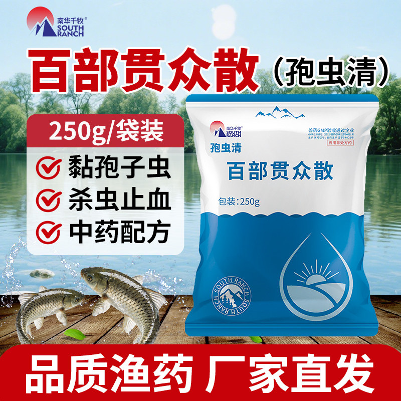 百部贯众散水产养殖杀粘孢子虫病鱼药杀虫止血孢虫清中药驱虫粉剂