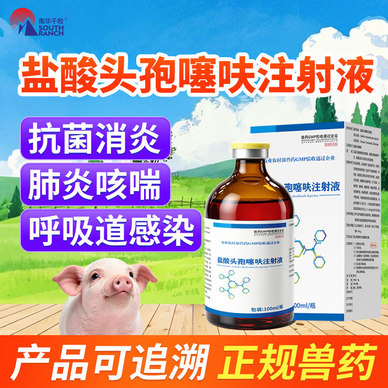 兽用盐酸头孢噻呋注射混悬液长效母猪消炎药牛羊仔猪三针保健兽药