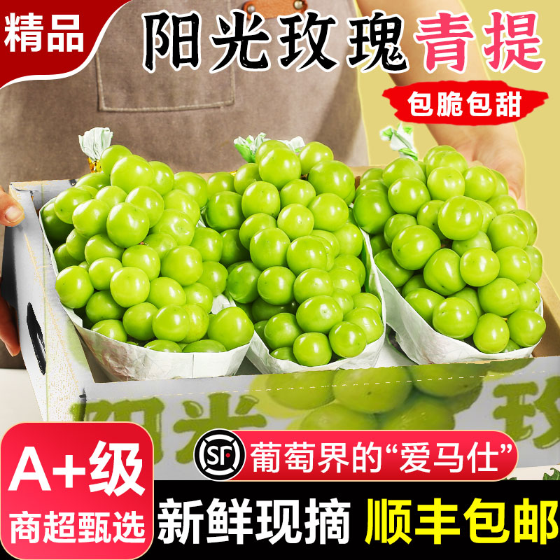 正宗阳光玫瑰葡萄爆甜多汁！