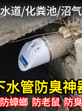 110PVC管防臭阀污水井下水道硅胶农村室外沼气化粪池排污虫鼠