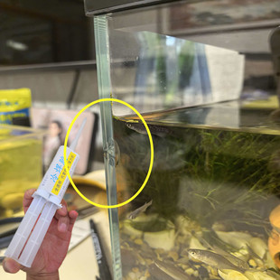 玻璃碎片缺口填充胶透明无毒无味防水钢化玻璃台面鱼缸修复胶工具