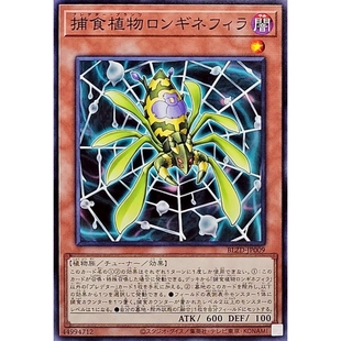 游戏王 1304 BLZD 捕食植物 长叶挖耳草络新妇 N 日文 日版