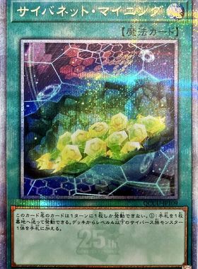 游戏王 电脑网络挖掘 SR/UR/UTR/SER/20SER/PSER/QCSER 日文/简中