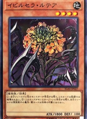 [苍之神话]游戏王 1011 IGAS 黄花单角胡魔 N 日文 日版