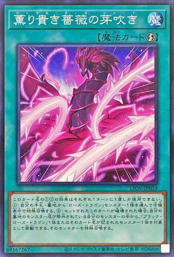 [苍之神话]游戏王 1104 LIOV 馨香蔷薇的发芽 N 日文 日版