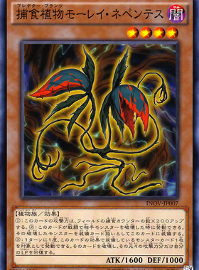 [苍之神话]游戏王 910 INOV/SPFE捕食植物 海鳝猪笼草 N/NPR 日版