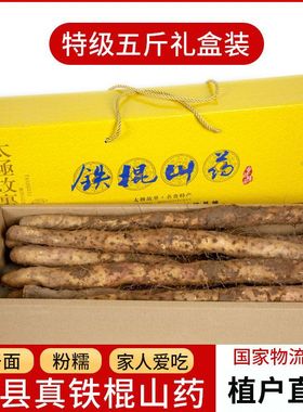 顺丰包邮】正宗河南焦作温县铁棍山药5斤新鲜整箱礼盒61-57CM大果